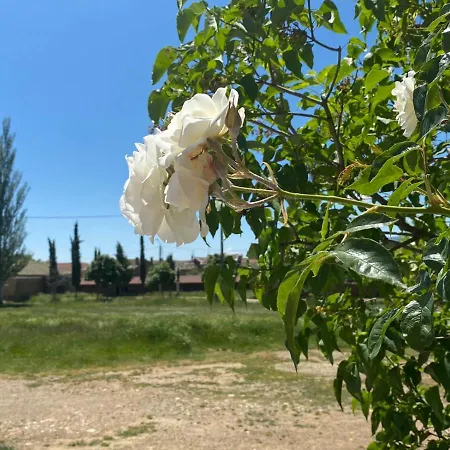 Pensión Rural Molino Del Arriero Luyego de Somoza